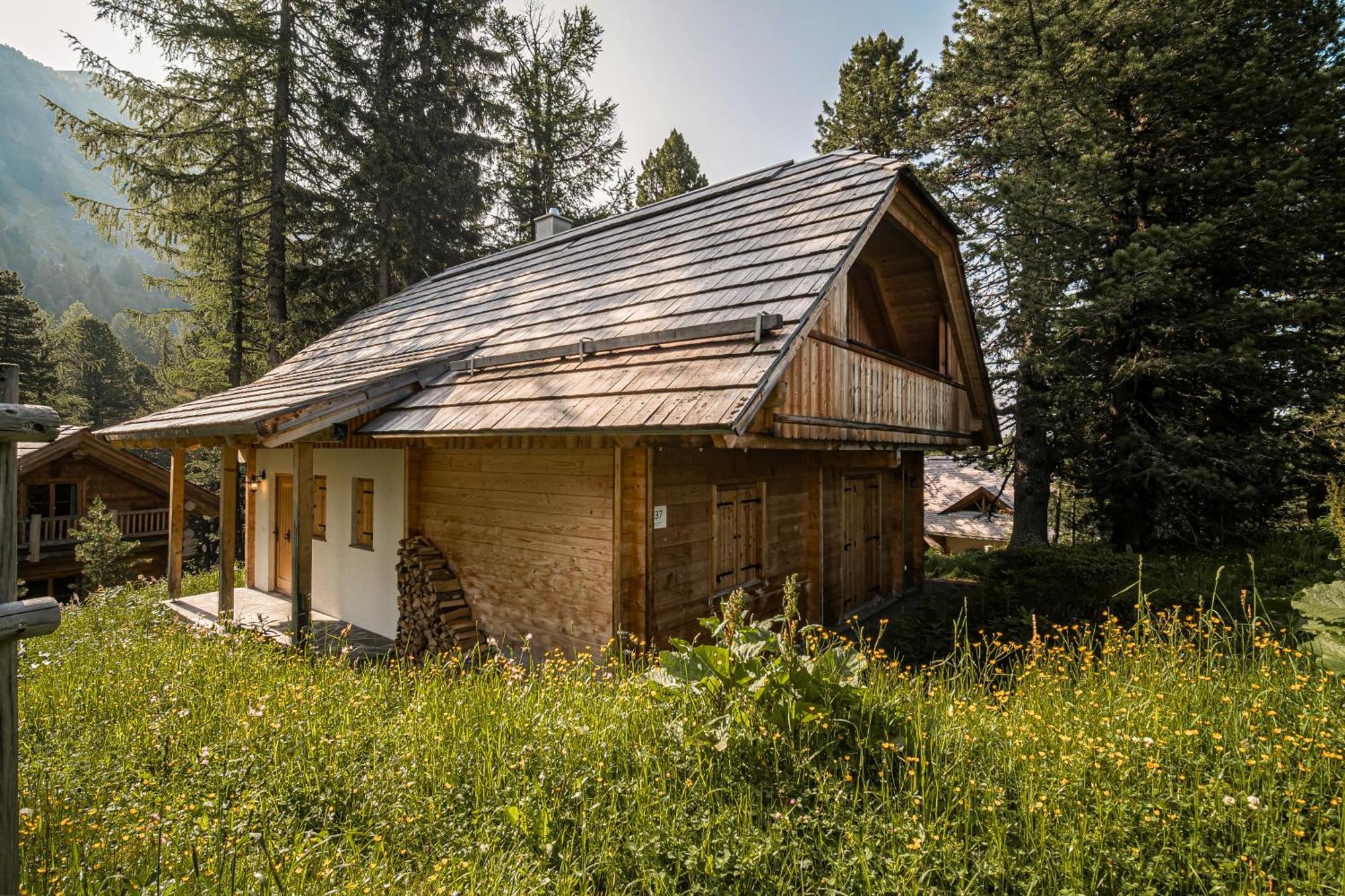 Alpin-Huetten Auf Der Turracherhoehe Haus Murmeltier By S4Y Turracher Hohe Exterior foto