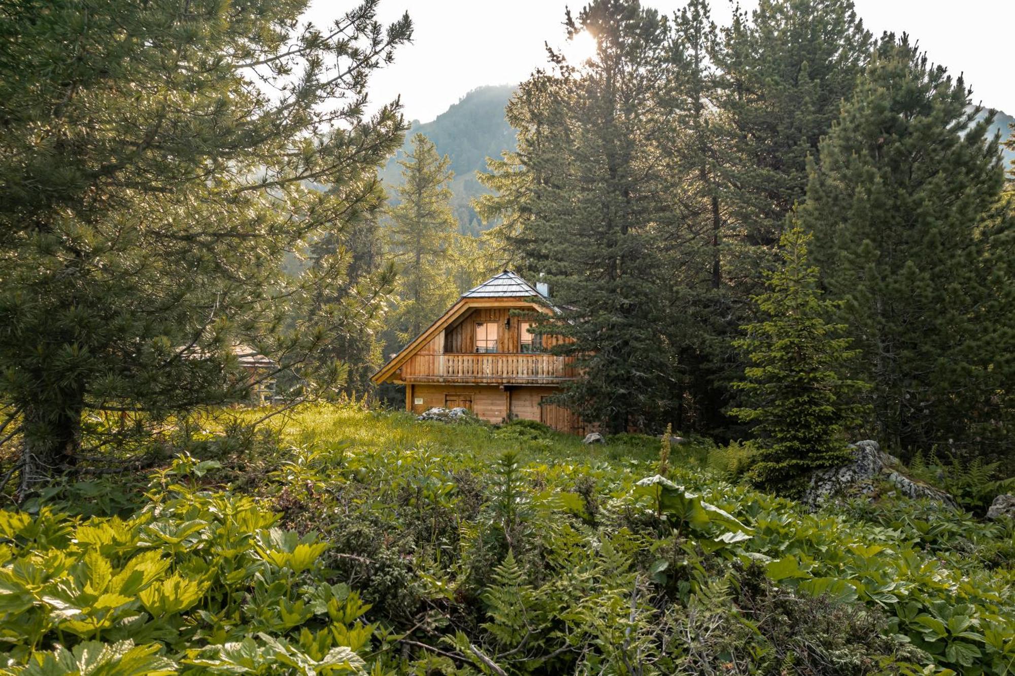 Alpin-Huetten Auf Der Turracherhoehe Haus Murmeltier By S4Y Turracher Hohe Exterior foto