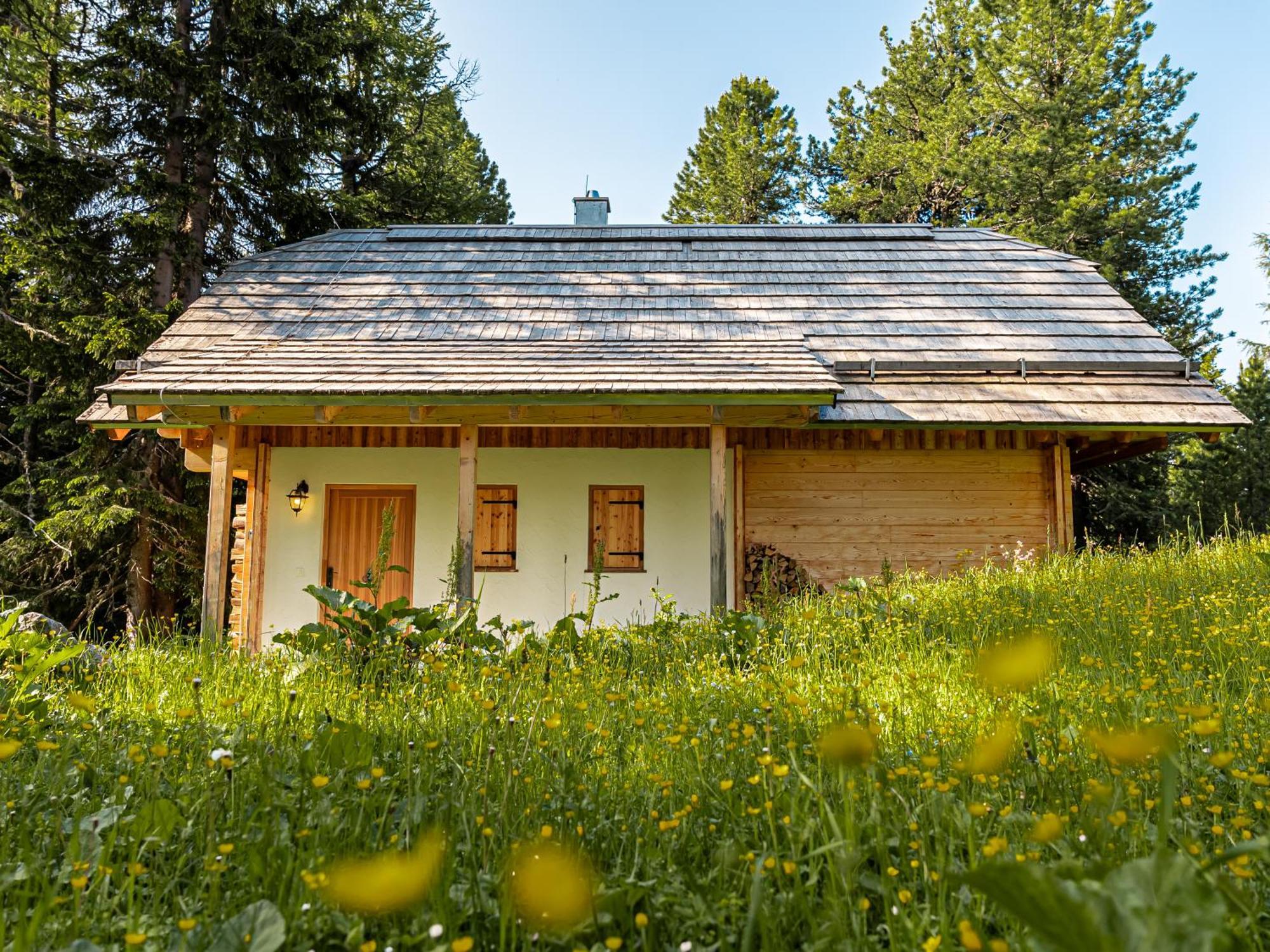 Alpin-Huetten Auf Der Turracherhoehe Haus Murmeltier By S4Y Turracher Hohe Exterior foto